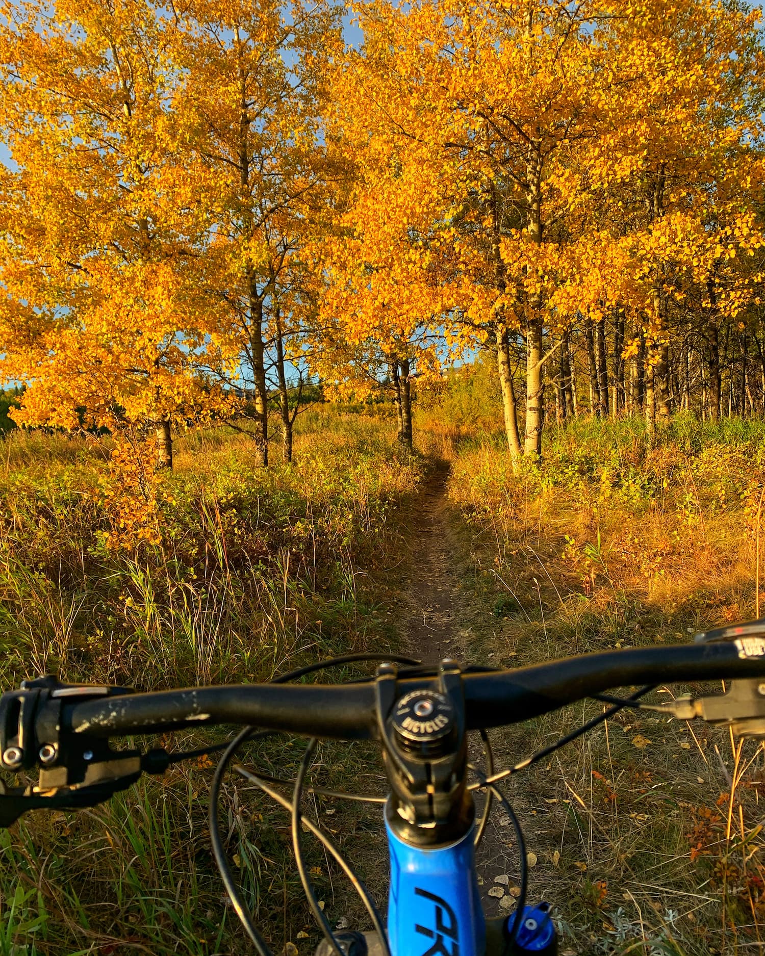 Fish creek mountain online bike trails